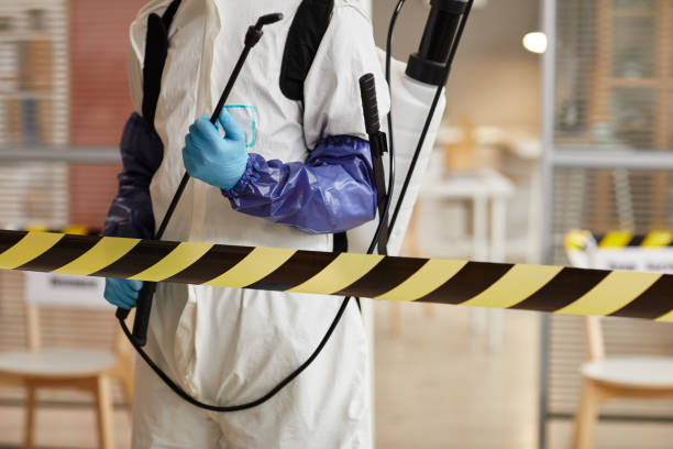 Professional Infectious Disease Decontamination technician working in Mt Baldy, CA